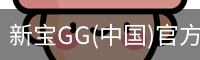 新宝GG